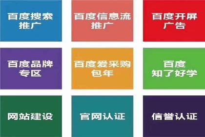 SEM代理实战：成功案例分享与经验总结